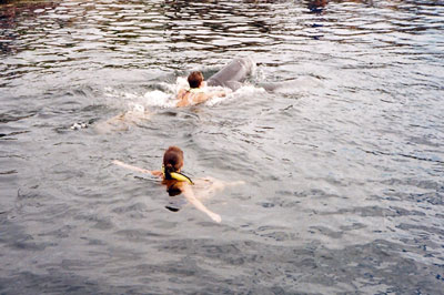Island Dolphin Care 2